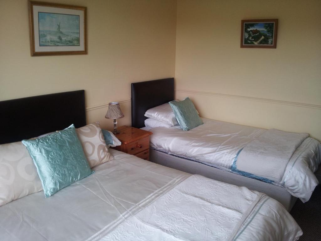 Tir Na Nog B&B Cashel  Εξωτερικό φωτογραφία