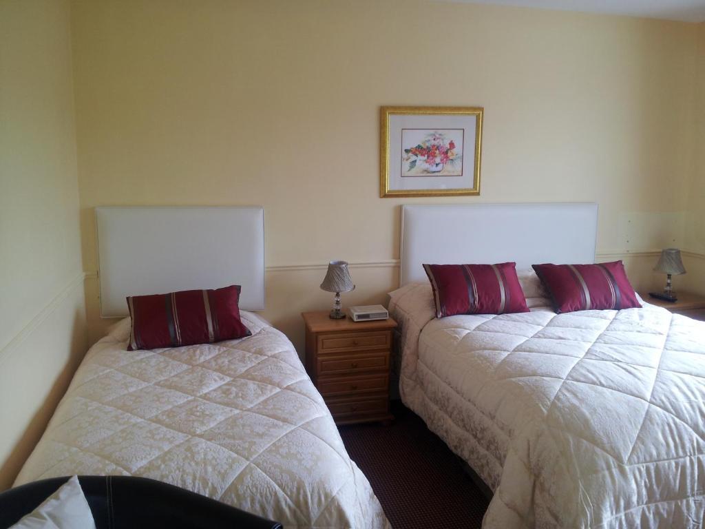 Tir Na Nog B&B Cashel  Εξωτερικό φωτογραφία